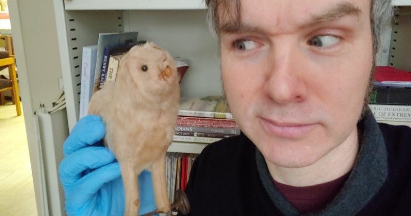 Mientras que los visitantes a la zona de cuarentena, los museos del mundo había un concurso en la más macabra exhibición Mientras que los visitantes a la zona de cuarentena, los museos del mundo había un concurso en la más macabra exhibición