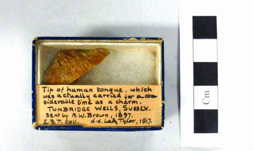 Mientras que los visitantes a la zona de cuarentena, los museos del mundo había un concurso en la más macabra exhibición Mientras que los visitantes a la zona de cuarentena, los museos del mundo había un concurso en la más macabra exhibición