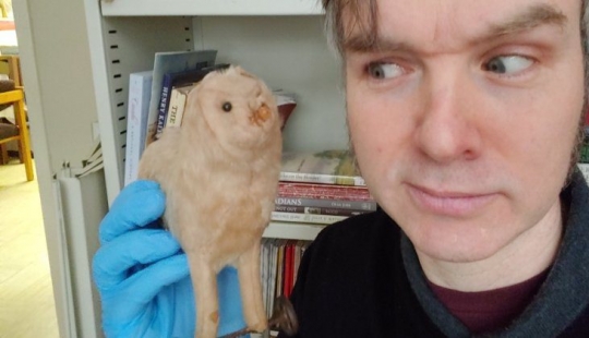 Mientras que los visitantes a la zona de cuarentena, los museos del mundo había un concurso en la más macabra exhibición Mientras que los visitantes a la zona de cuarentena, los museos del mundo había un concurso en la más macabra exhibición