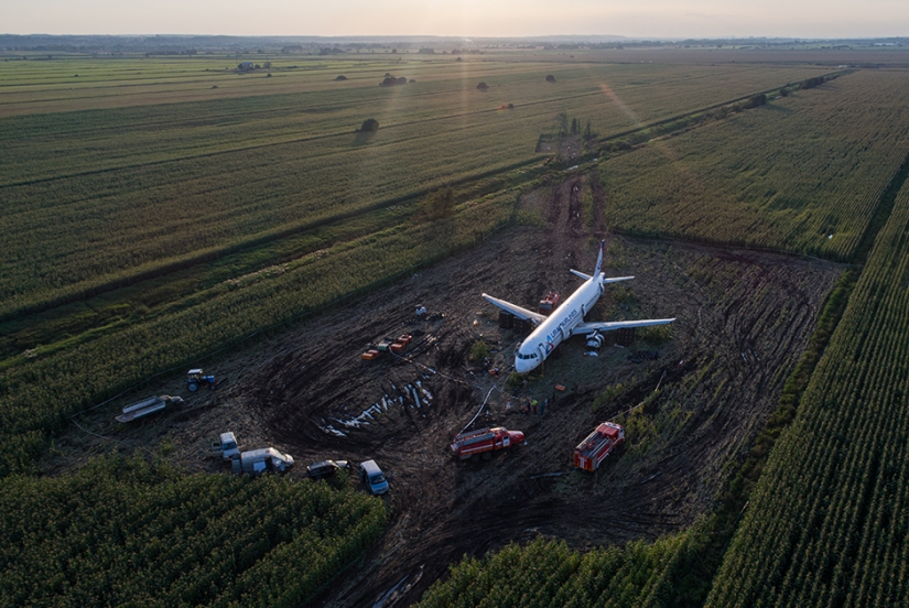 Miracles, the destruction of myths and the death of crops on the images of famous photographers