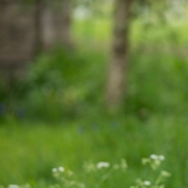 Moscow apartments Elizabeth II: what do we know about Royal real estate