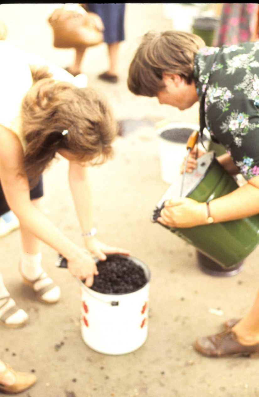 Moscow — Siberia — Japan in 1980