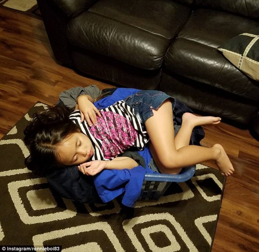 "Mother echidna": a questionable life hacks for tired parents