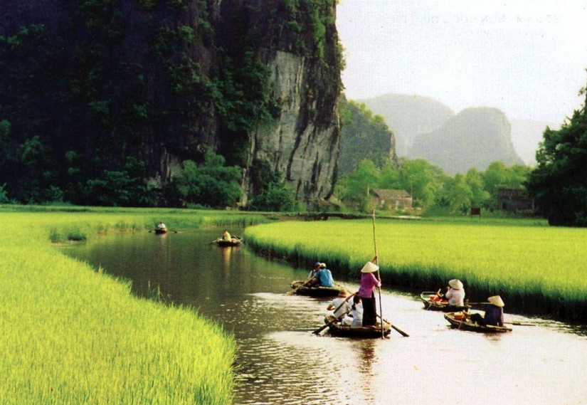 Mountains and rice fields of Tam COC