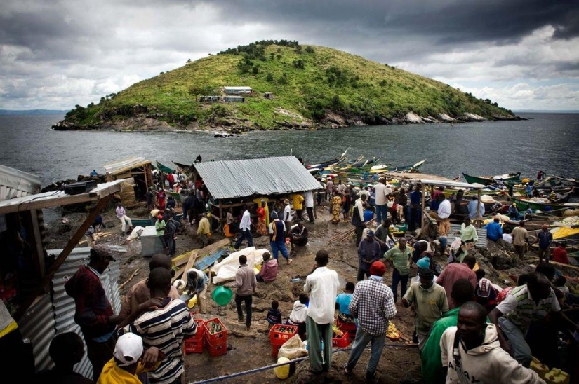Mpingo is the most densely populated island in the world