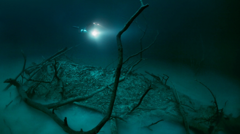 Mystical underwater river flows along the ocean floor in Mexico