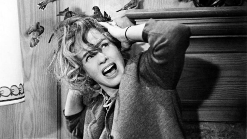 Named the 30 best horror movies in the history of cinema Named the 30 best horror movies in the history of cinema