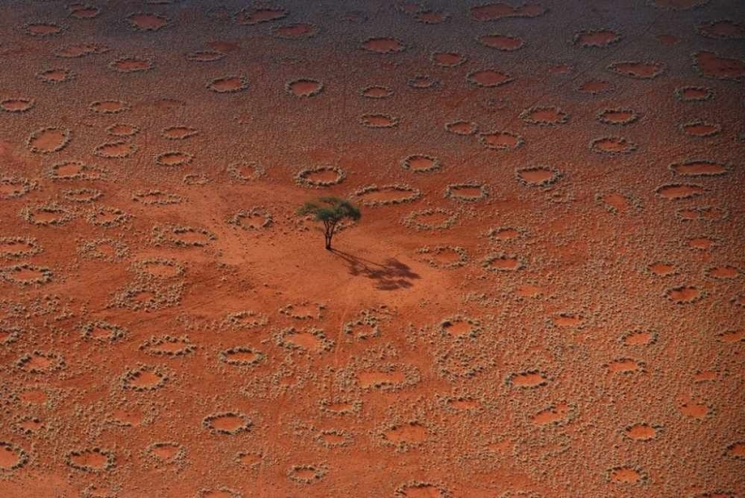 Natural phenomena that are hard to believe Natural phenomena that are hard to believe