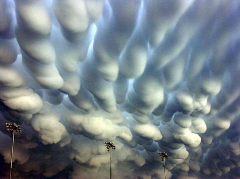Natural phenomena that are hard to believe Natural phenomena that are hard to believe