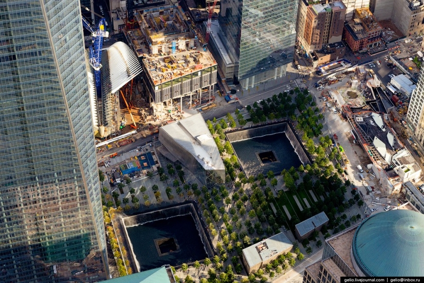 New York from the height of bird flight New York from the height of bird flight