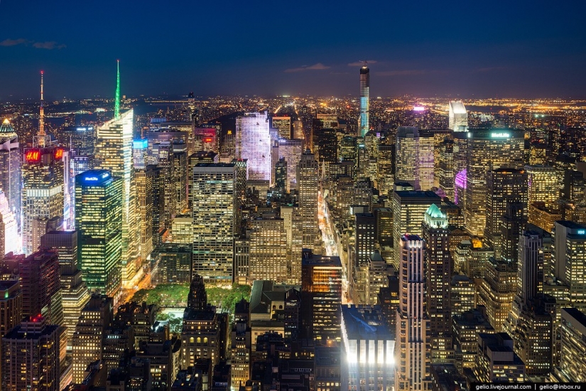 New York from the height of bird flight New York from the height of bird flight