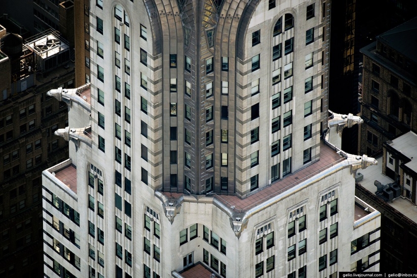 New York from the height of bird flight New York from the height of bird flight