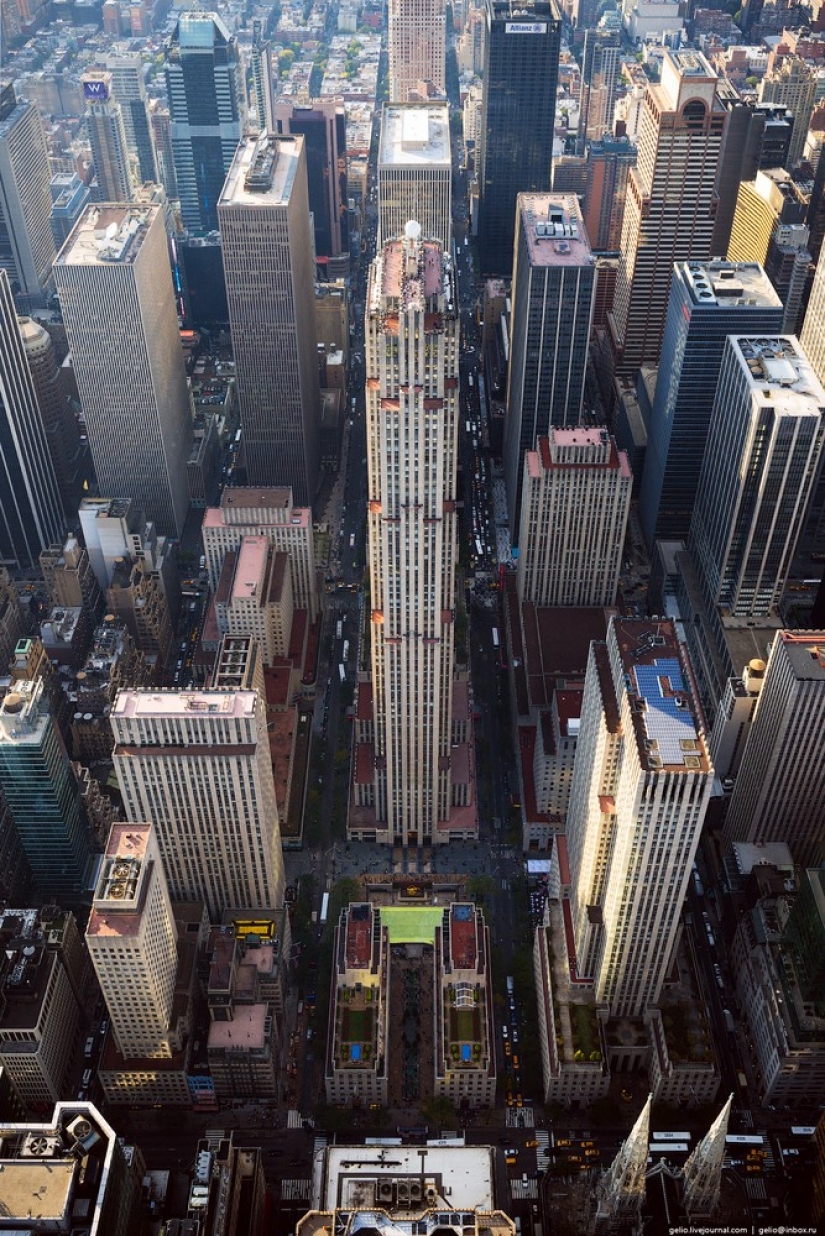 New York from the height of bird flight New York from the height of bird flight