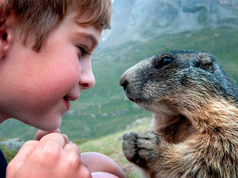 No se necesitan palabras para comunicarse
