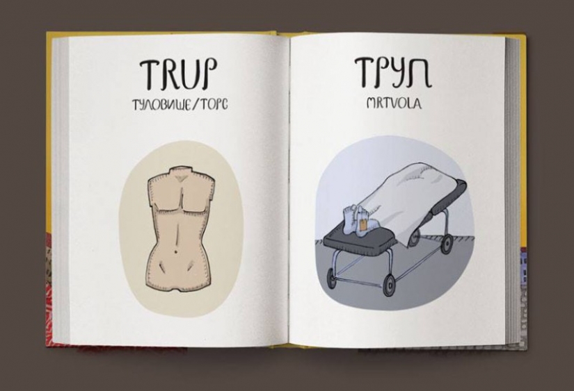 Not "bullshit", and "game room": merry Czech-Russian dictionary in pictures