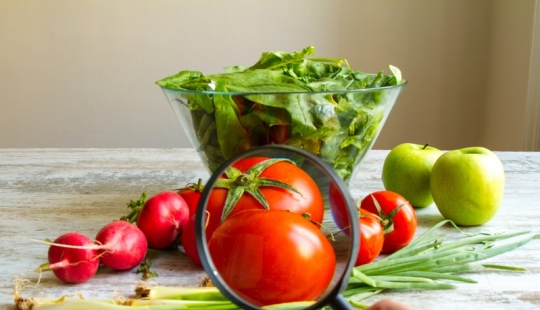 Not only puffer fish: 12 "poisonous" products on your Desk