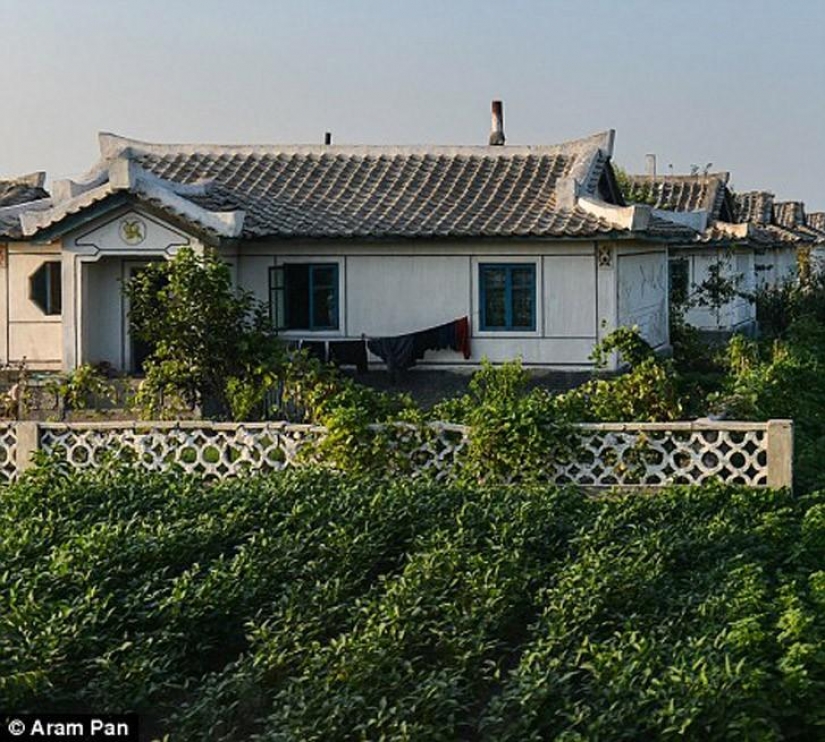 Not the depressed North Korea: playing on the beach girls, trendy shops and restaurants