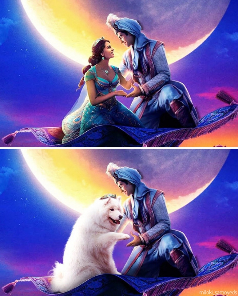 Now we know how would look like the Terminator if he played Samoyed Now we know how would look like the Terminator if he played Samoyed