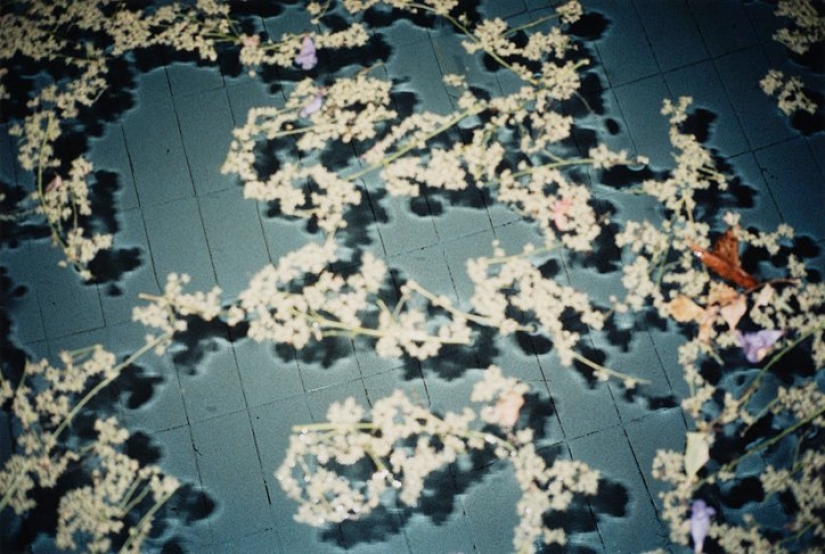 Íntimo tomado previamente Lina Sanius