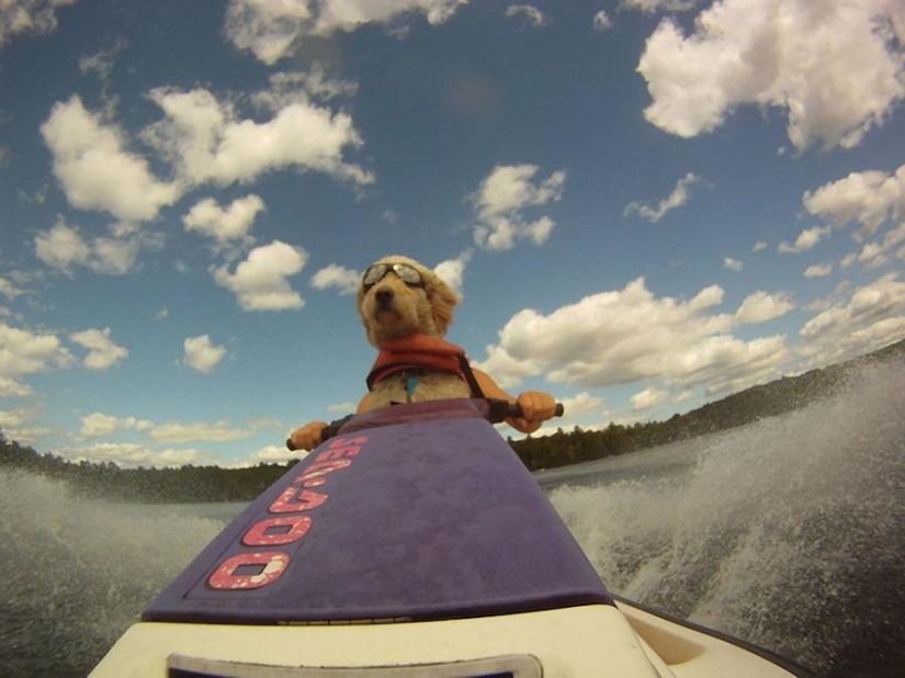 Nueva extrema foto tomada por una cámara GoPro Nueva extrema foto tomada por una cámara GoPro