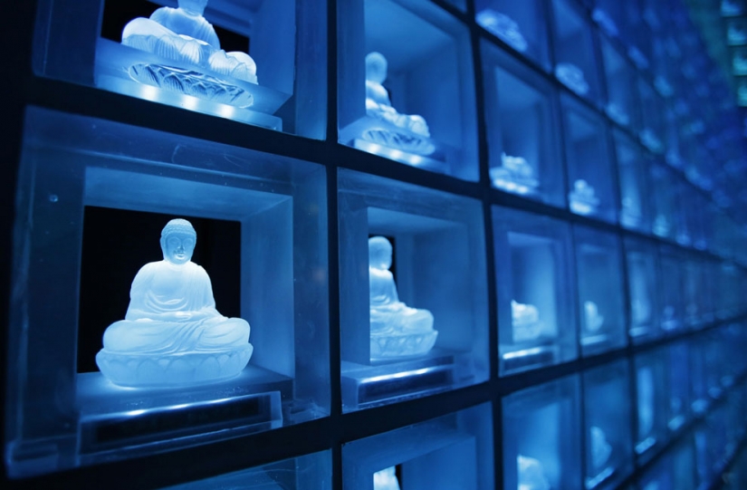 Nueva moda en Japón: el funeral en la vida