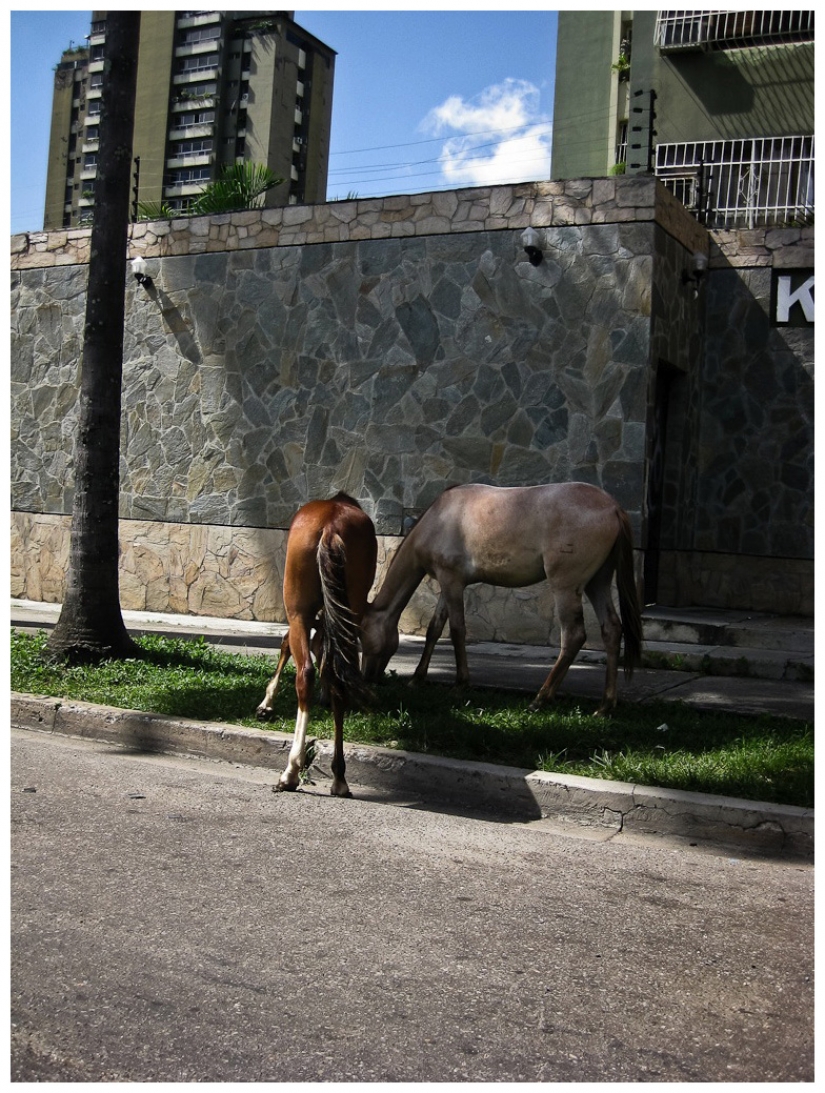 Obras maestras de la fotografía Soviética Obras maestras de la fotografía Soviética