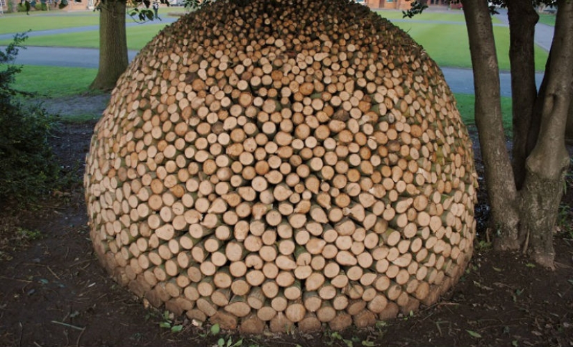 On the courtyard grass, on a grass firewood