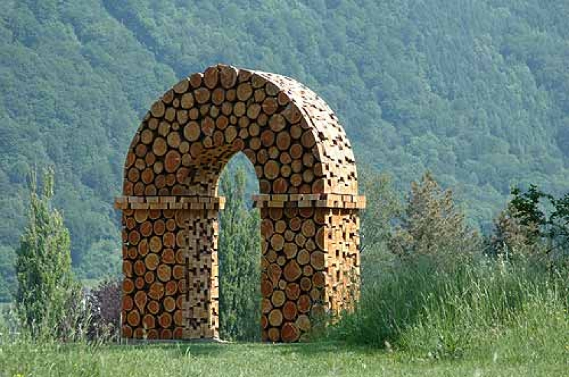 On the courtyard grass, on a grass firewood