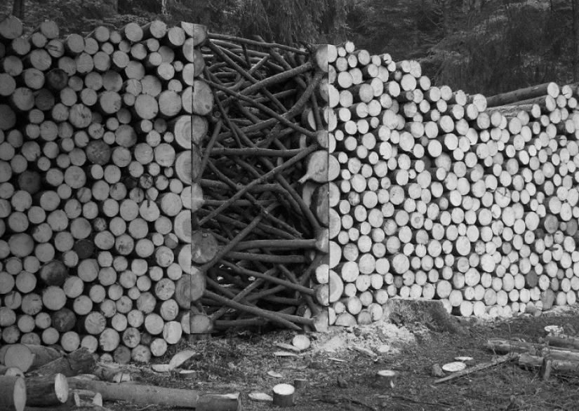 On the courtyard grass, on a grass firewood