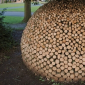 On the courtyard grass, on a grass firewood