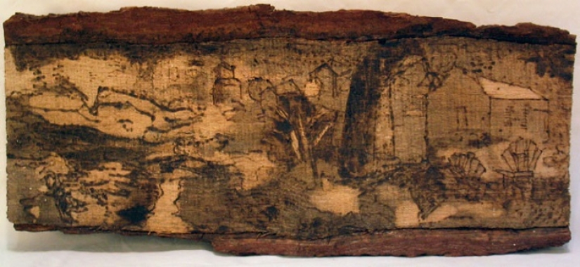 On the courtyard grass, on a grass firewood