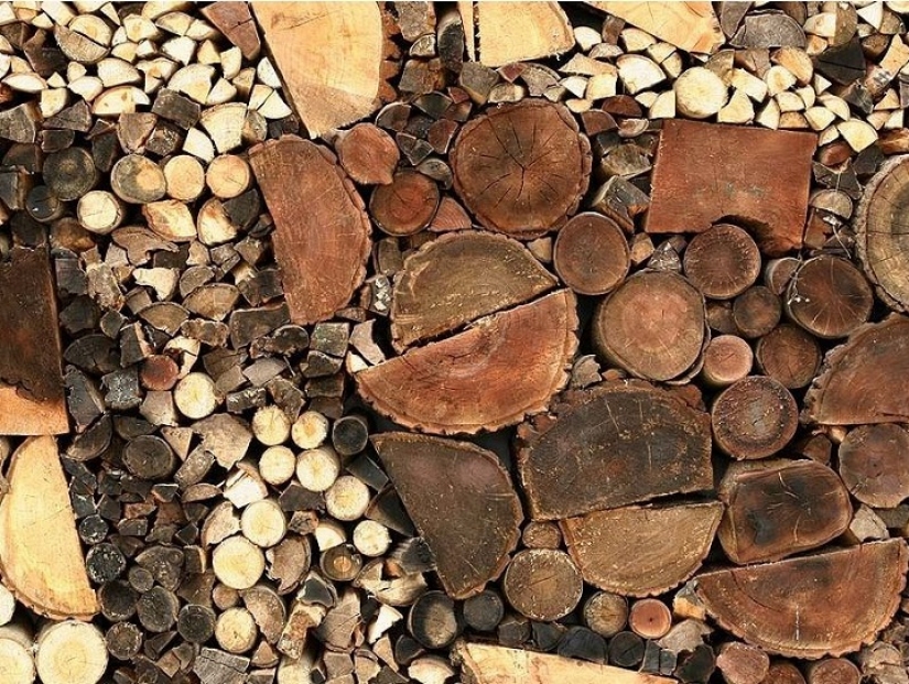 On the courtyard grass, on a grass firewood