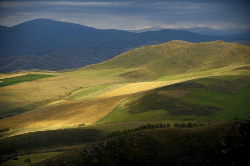 Otoño en las montañas de Kazajstán de la altura de vuelo de pájaro Otoño en las montañas de Kazajstán de la altura de vuelo de pájaro
