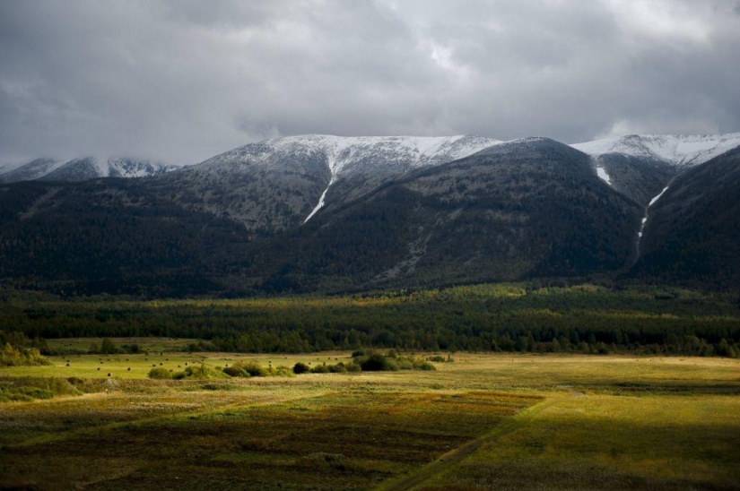 Otoño en las montañas de Kazajstán de la altura de vuelo de pájaro Otoño en las montañas de Kazajstán de la altura de vuelo de pájaro