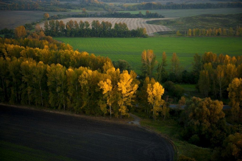 Otoño en las montañas de Kazajstán de la altura de vuelo de pájaro Otoño en las montañas de Kazajstán de la altura de vuelo de pájaro