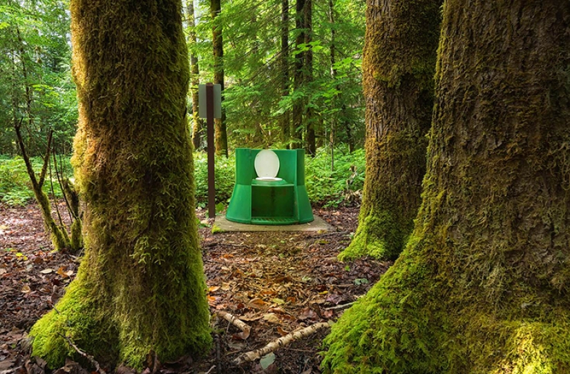 Out of necessity, but not mad: the most unusual public toilets