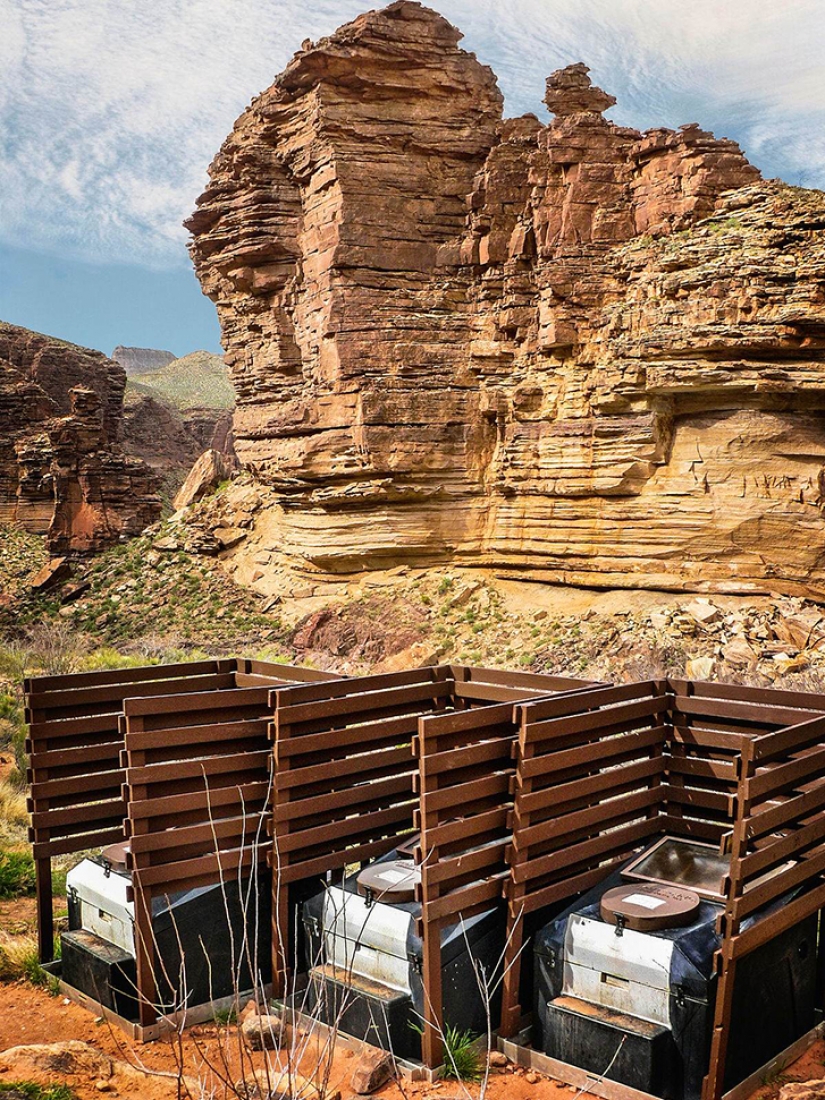 Out of necessity, but not mad: the most unusual public toilets