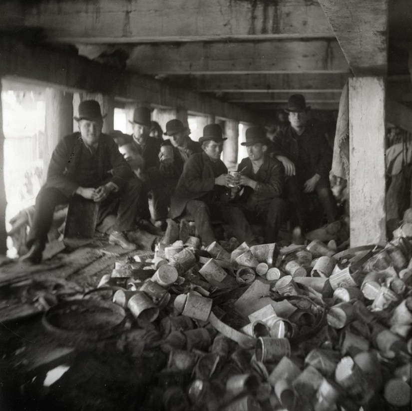 Pandillas de nueva York: ¿cómo fue