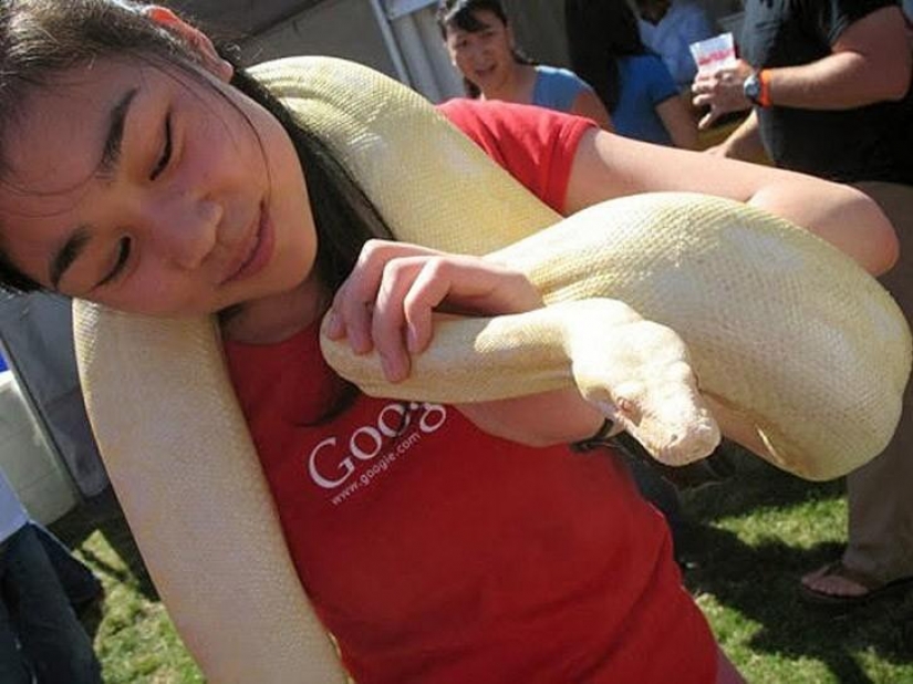 Para el programador: los 5 más sexual representantes de la profesión