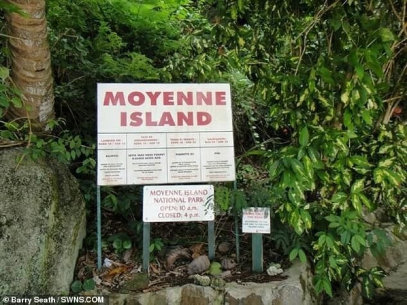 Para salir de Londres para los corales: una familia vendió todo y se trasladó a una pequeña isla