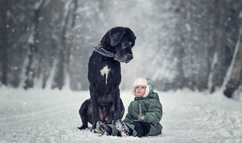 Pequeños niños de San Petersburgo y sus grandes amigos de cuatro patas Pequeños niños de San Petersburgo y sus grandes amigos de cuatro patas