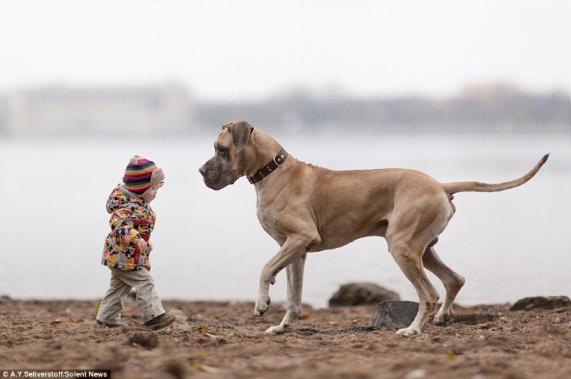 Pequeños niños de San Petersburgo y sus grandes amigos de cuatro patas Pequeños niños de San Petersburgo y sus grandes amigos de cuatro patas
