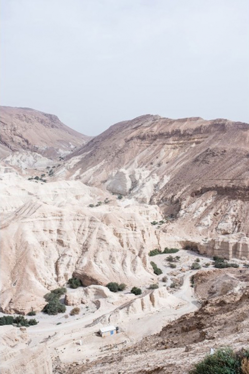 Photo: dying Dead sea Photo: dying Dead sea
