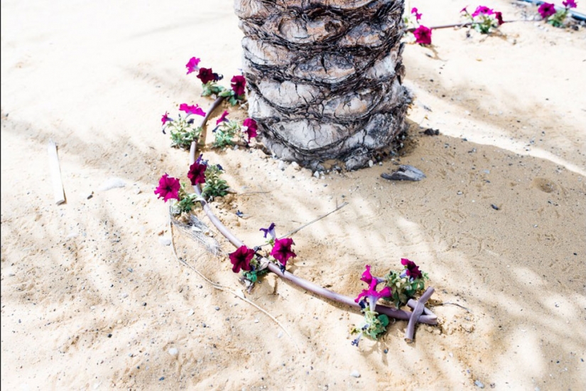 Photo: dying Dead sea Photo: dying Dead sea