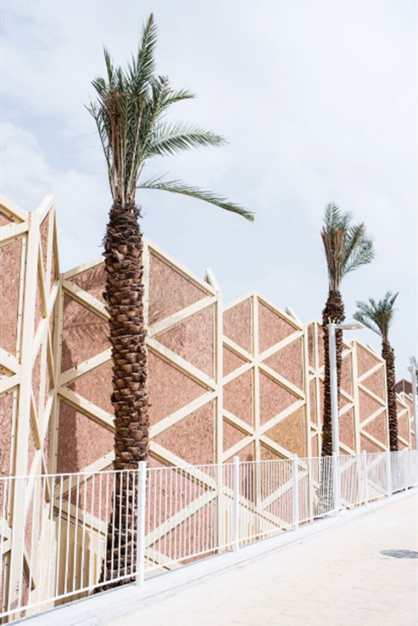 Photo: dying Dead sea Photo: dying Dead sea