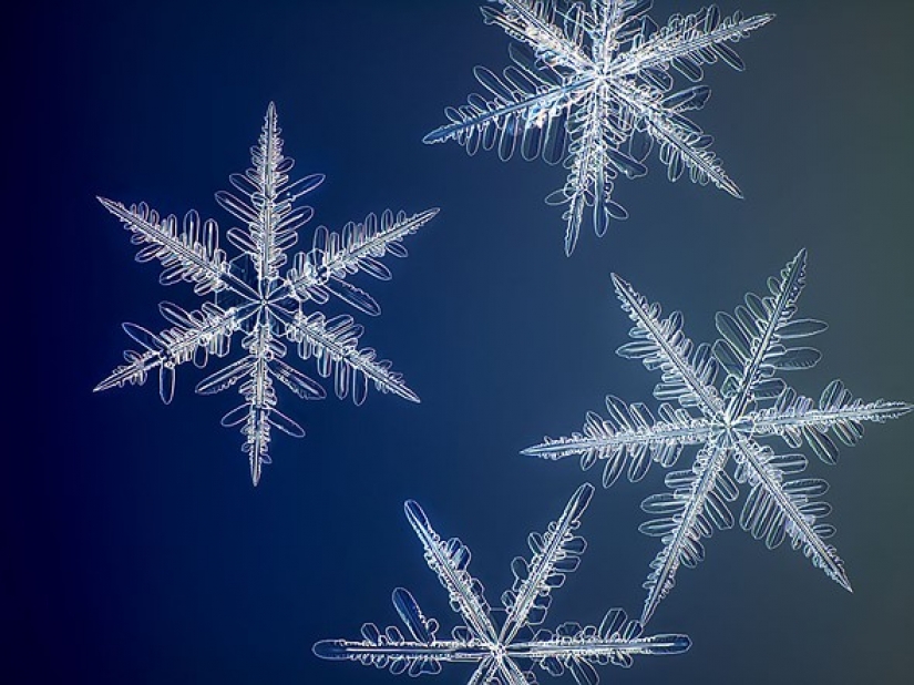 Photographer captures the highest resolution snowflake photos in the world