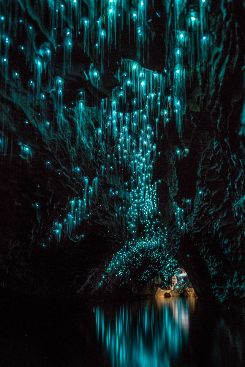 Photographer shot of the starry sky of glowworms cave in new Zealand Photographer shot of the starry sky of glowworms cave in new Zealand