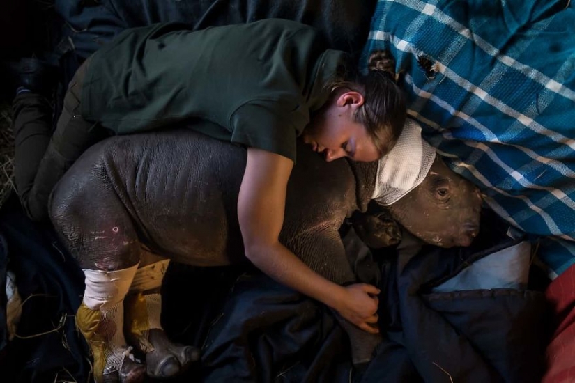 Photographers against poachers: harrowing footage of wildlife crime