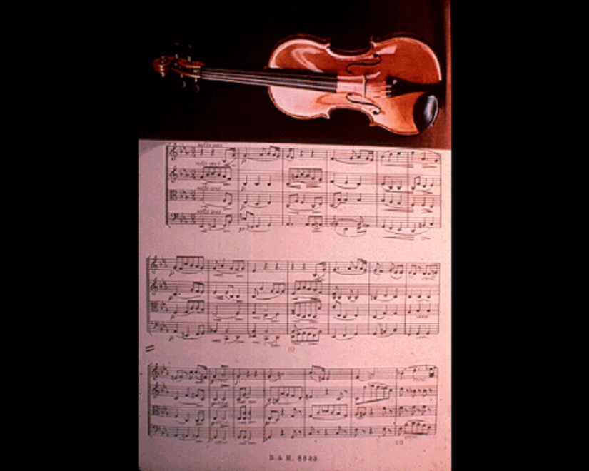 Photos of the Land that have to see the aliens