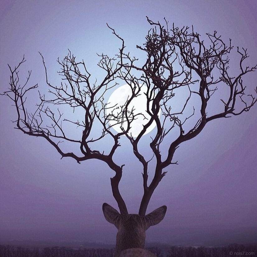 Photos of unreal world: the colourful imagination of Robert Jansa